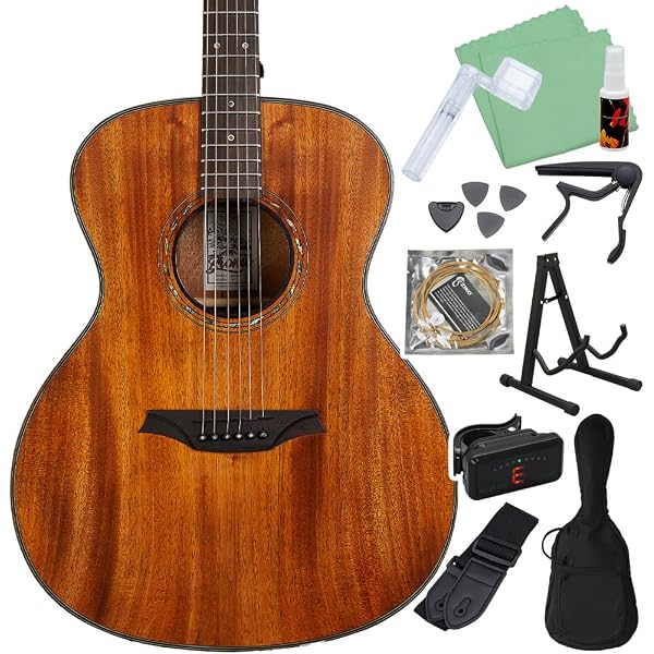 Amazon.co.jp: Bromo Guitars ブロモギターズ BAT2M TAHOMA SERIES